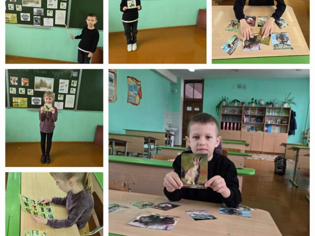изображение_viber_2025-03-24_10-31-28-274
